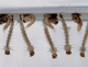  larvas do A. aegypti 